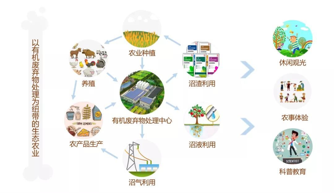解开“沼循”奥秘 以有机废弃物处理为纽带的生态农业构建与环保设备设计